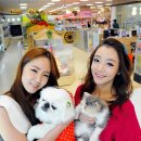 홈플러스 동수원점 수족관 이미지