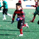 대구반야월초등학교 이미지