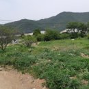 입석농장 네이버블로그