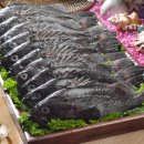 섬 우럭축제 이미지