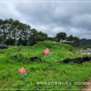 경남고성부동산토지매매 - 상리면 햇살고운 대지와 전(田)과 임야 토지 전원주택지매매 1646제곱미터 (489) 이미지