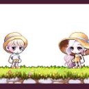 코디아이템