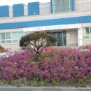 강릉충전소 이미지