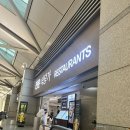 김치스쿨 | 인천공항 제1여객터미널 프리미엄분식코너 스쿨푸드 후기 (돼지목살 김치찜, 라면세트, 캔맥주)