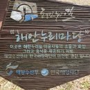 접도가든 이미지