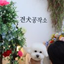 견공작소 이미지