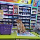 CU 광주주월점 이미지