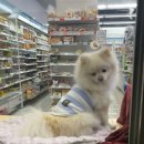 지에스(GS) 25 경의교차로점 이미지