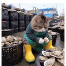 생선가게 이미지