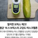 더봄푸드