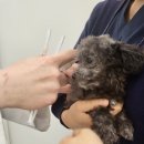 구지동물병원 이미지