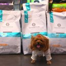 김주희농장 | 부천애견용품할인매장 펫랜드에서 강아지용품 쇼핑