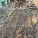 금실농장 이미지