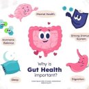 장수헬스 이미지