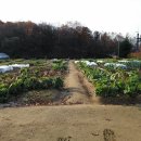 다경농장 이미지