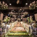 더그레이스켈리 이미지