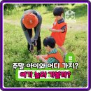 경안천벚길 어린이공원 | 아이와 주말 고민 끝! 경기 광주 숲체험, 자연과 교감하는 특별한 시간