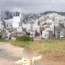 팜파스(주) | 울산 아기랑 가볼만한곳 슬도 댑싸리 팜파스 다녀온 후기