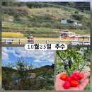 해원농장 이미지