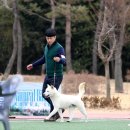 천복