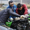 로시난테 이미지