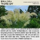 팜파스