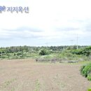 제주 한림읍 금악리 라온CC 인근 2차선 도로접한 토지 - 제주 부동산 경매 이미지