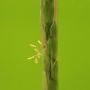 물의 기억 이미지