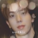LOVE IS ALL 이미지