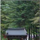 일주문 Daum카페