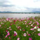 낙동강변9 이미지