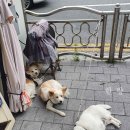 양승열신경외과의원 이미지