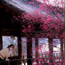 서원푸드 이미지