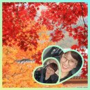 일굼