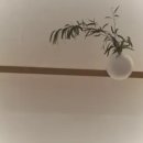 양양스테이 이미지