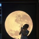 세븐일레븐강릉임당중앙점 이미지