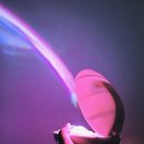 우리무지개 이미지