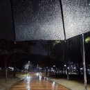 읍내양곱창 | 대구 칠곡 현지인맛집 국우동 양곱창맛집<읍내양곱창>내돈내산_솔직리뷰