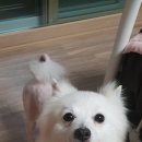 중앙4길 이미지