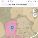 제주양부장투어