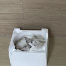 샘마루동물병원 이미지