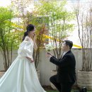 아우라스튜디오｜웨딩촬영 앨범 셀렉 후기 (+ 추가금 피하는 꿀팁! 💌)