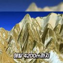 신기 이미지