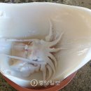 오첩반상 이미지