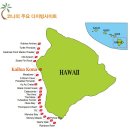 돌고래와 만타레이가 춤추는 하와이제도 코나의 다이빙- Hawaii, Kona 이미지