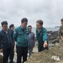 제주 서귀포층 패류화석 산지 이미지