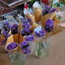 해피테라스 | [서울 카페] 경복궁 플라워 카페&amp;다이닝 '테라스 꾸까' 해피아워 후기 (내돈내산)