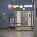 놀이터 존 | 천안 불당동 대형키즈카페 실내놀이터 키벤져스