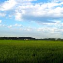 전등사로 초지로 이미지