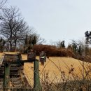 남부권 골프연습장 이미지